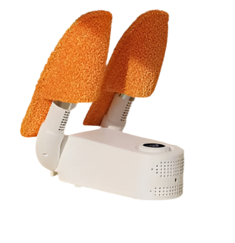 Electric Shoe Dryer